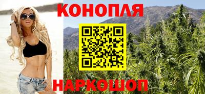 прущие грибы Малгобек