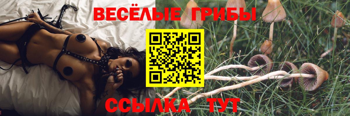 Галлюциногенные грибы MAGIC MUSHROOMS  Псилоцибиновые грибы Cubensis  Вход с VPN  Дербент 
